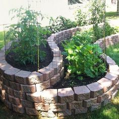 a brick garden bed with various plants growing in it