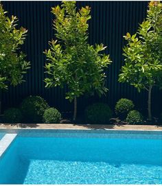 an empty swimming pool surrounded by trees and bushes in front of a black fenced wall