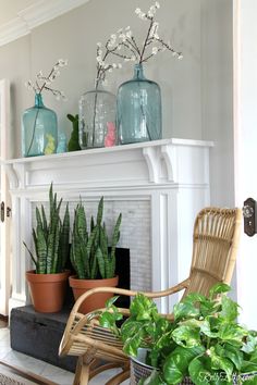 a living room filled with lots of plants and vases on top of a fireplace