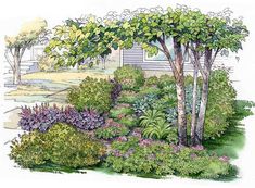 a drawing of a garden with trees and flowers