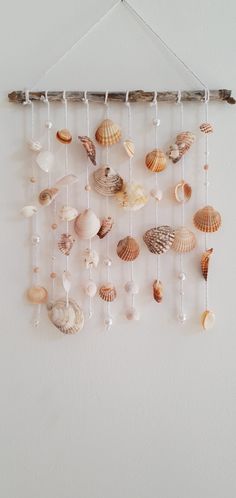 a wall hanging with seashells on it