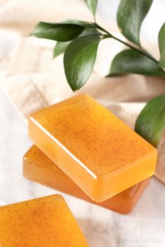 two soap bars sitting on top of each other next to a green leafy plant