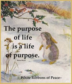 a rabbit sitting in the snow next to a tree with holly leaves on it and a quote that reads, the purpose of life is a life of purpose