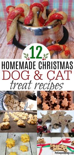 homemade christmas dog and cat treats with text overlay