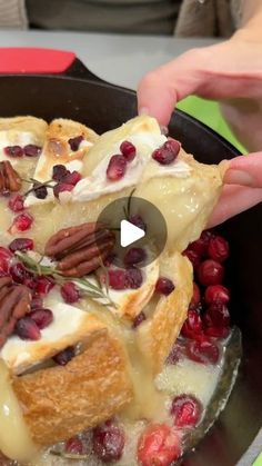 Jacky Has Fun on Instagram: "Grandma’s Holiday Appetizer #recipeoftheday #easyrecipes #recipeideas #cheese #holidayfood #holidayrecipes #christmasfood #christmasrecipes #thanksgivingdinner #thanksgivingrecipes #thanksgivingfood #cranberry" Top Appetizers, Christmas Appetizers Party, Holiday Appetizer, Bread Appetizers, Thanksgiving Appetizers, Holiday Appetizers, Super Bowl Food, Christmas Appetizers, Best Appetizers