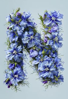 the letter n is made up of blue flowers