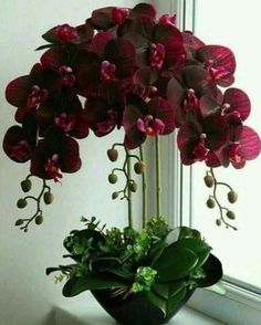 a potted plant with purple orchids and greenery in front of a window