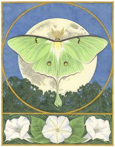 a green moth sitting on top of white flowers in front of a moon and trees