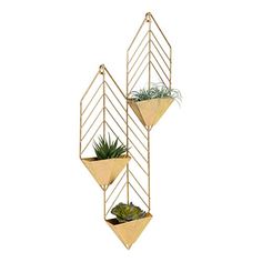 three hanging planters with succulents and plants in them on a white wall