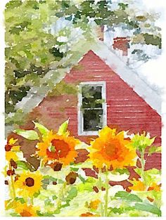 a watercolor painting of sunflowers in front of a red house