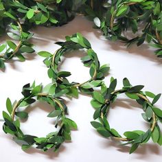 several wreaths made out of green leaves on a table