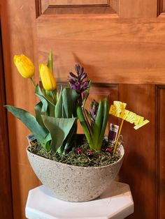 a potted plant sitting on top of a white pedestal next to a wooden door