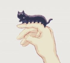 a hand holding a small black kitten on top of it's finger