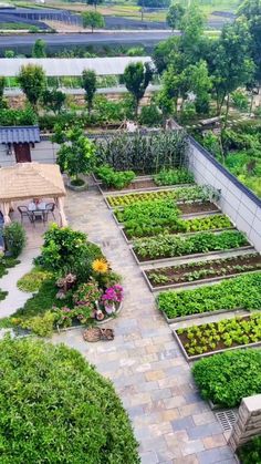 an aerial view of a garden with many plants