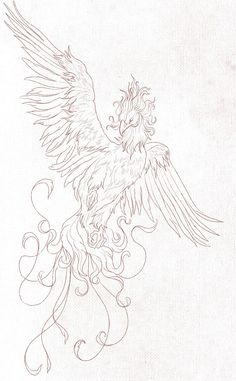 a drawing of a bird with large wings