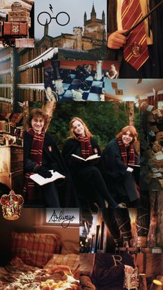 harry potter collage with hogwarts and hermigands