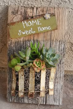 a wooden sign with succulents on it and a tag that says dream, big dreams