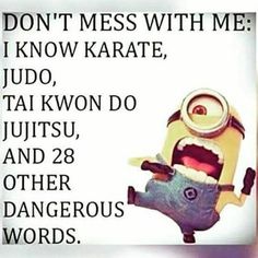 a minion with the words don't mess with me i know karate, judo