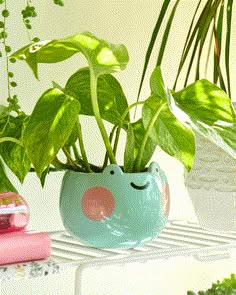 a potted plant sitting on top of a white shelf next to a pink book