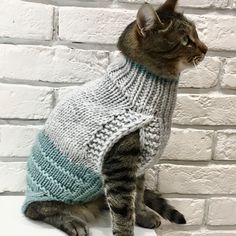 a cat wearing a sweater sitting on top of a white brick wall in front of a brick wall