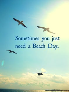 seagulls flying in the sky with an inspirational quote on it that says, sometimes you just need a beach day even when it's cold outside