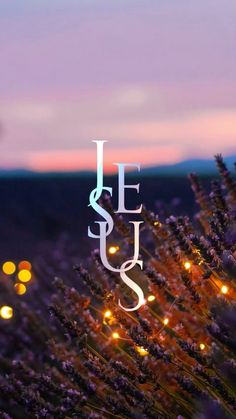 the words jesus are lit up in front of a field full of lavenders and lights