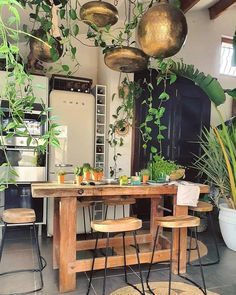 a kitchen filled with lots of green plants and hanging pots on the ceiling above a wooden table