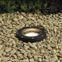 a light that is on some rocks in the grass and bushes behind it with green plants