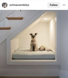 a dog sitting on top of a bed under a stair case