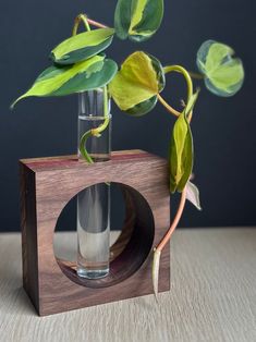 a plant in a glass vase on top of a wooden block with a hole in it