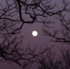 the moon is seen through some trees in the night sky with no leaves on it