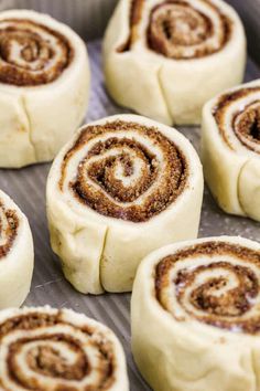 several cinnamon rolls on a baking sheet ready to be baked in the oven for christmas