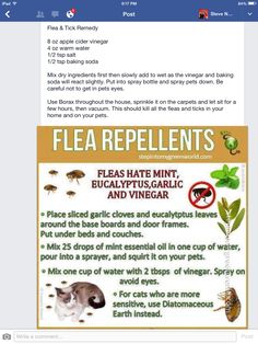 a sign describing the benefits of flea repellents for cats and dogs, with information on how to use them