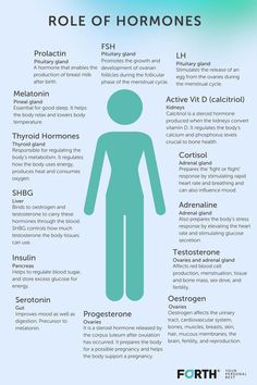 Female hormones influence all aspects of women’s health, not just reproduction and fertility, so it’s important to understand how your hormones play a role in overall health. By understanding the role of hormones within the body you can make the right lifestyle choices to support a healthy endocrine system and can better identify conditions, such as PCOS. Click the link to find out more about the importance of hormones on female health. #10TipsForHealthyLife دورة شهرية, Female Health, Healthy Hormones, Menstrual Health, Medical School Essentials, Feminine Health, Endocrine System, Hormone Health, Medical Knowledge