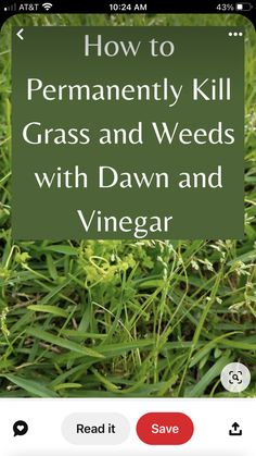 an iphone screen showing how to permanently kill grass and weeds with dawn and vinegar