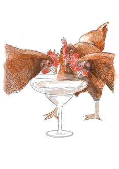 three hens are standing in a glass bowl with milk and water on the side