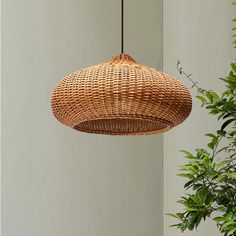 a wicker light hanging from a ceiling next to a potted plant