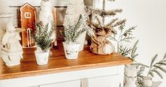 there are three potted plants sitting on the shelf next to each other, and one is white