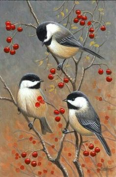 two birds sitting on a tree branch with berries