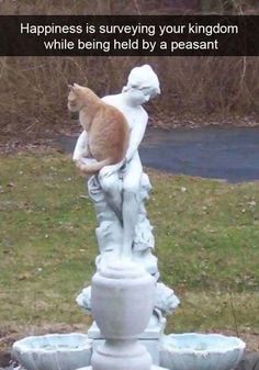 a cat that is sitting on top of a statue