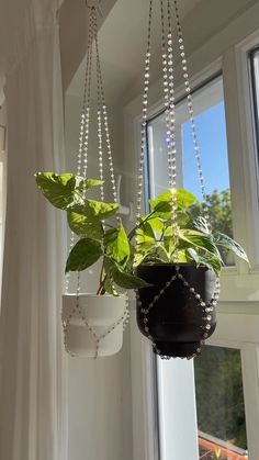 a potted plant hanging from a window sill next to a white vase filled with flowers