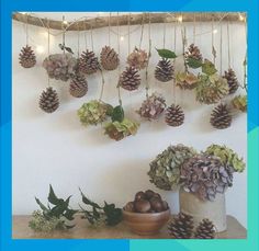 some pine cones are hanging from a branch with lights in the background and various plants