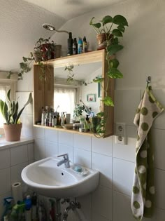 a bathroom sink sitting under a mirror next to a green potted plant on top of a wooden shelf