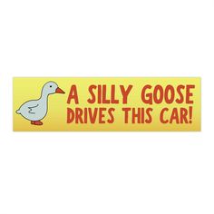 Cute Bumper Stickers Cars, Fun Car Stickers, Silly Bumper Stickers, Bumper Stickers Aesthetic, Cute Bumper Stickers, Bumper Stickers Funny, Cool Bumper Stickers, Funny Car Stickers