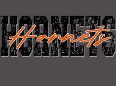 the word hornets in orange and black on a gray background with an orange outline