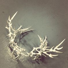 A closeup look at the silver antler/bone crown, designed by Eero Hintsanen for our Fall 2013 collaboration. Viking Bone Crown, Bone Crown Diy, Bone Headpiece, Bone Activities, Viking Crown, Hogan Mclaughlin, Bone Crown, Antler Crown, Bone Crafts