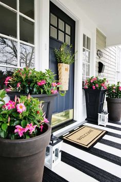 some potted flowers are sitting on the front porch door sill and welcome mat