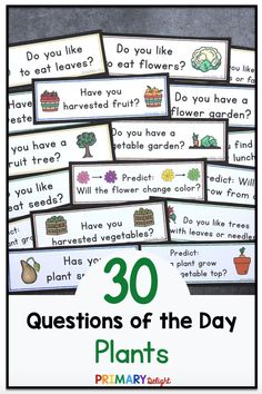 30 questions for the plant life cycle