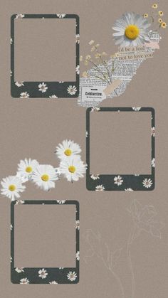 three frames with daisies and flowers on them