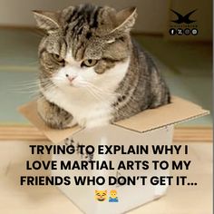 a cat sitting on top of a box with the caption trying to explain why i love martial arts to my friends who don't get it